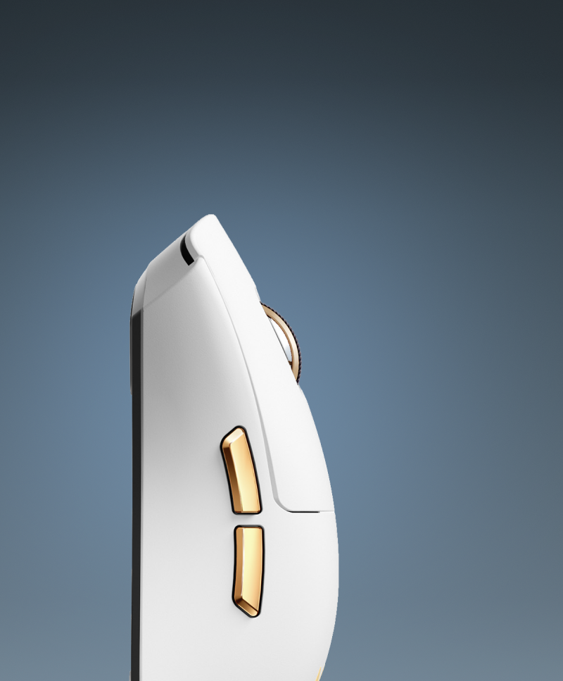 MOUSES