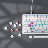 Miniatura 8